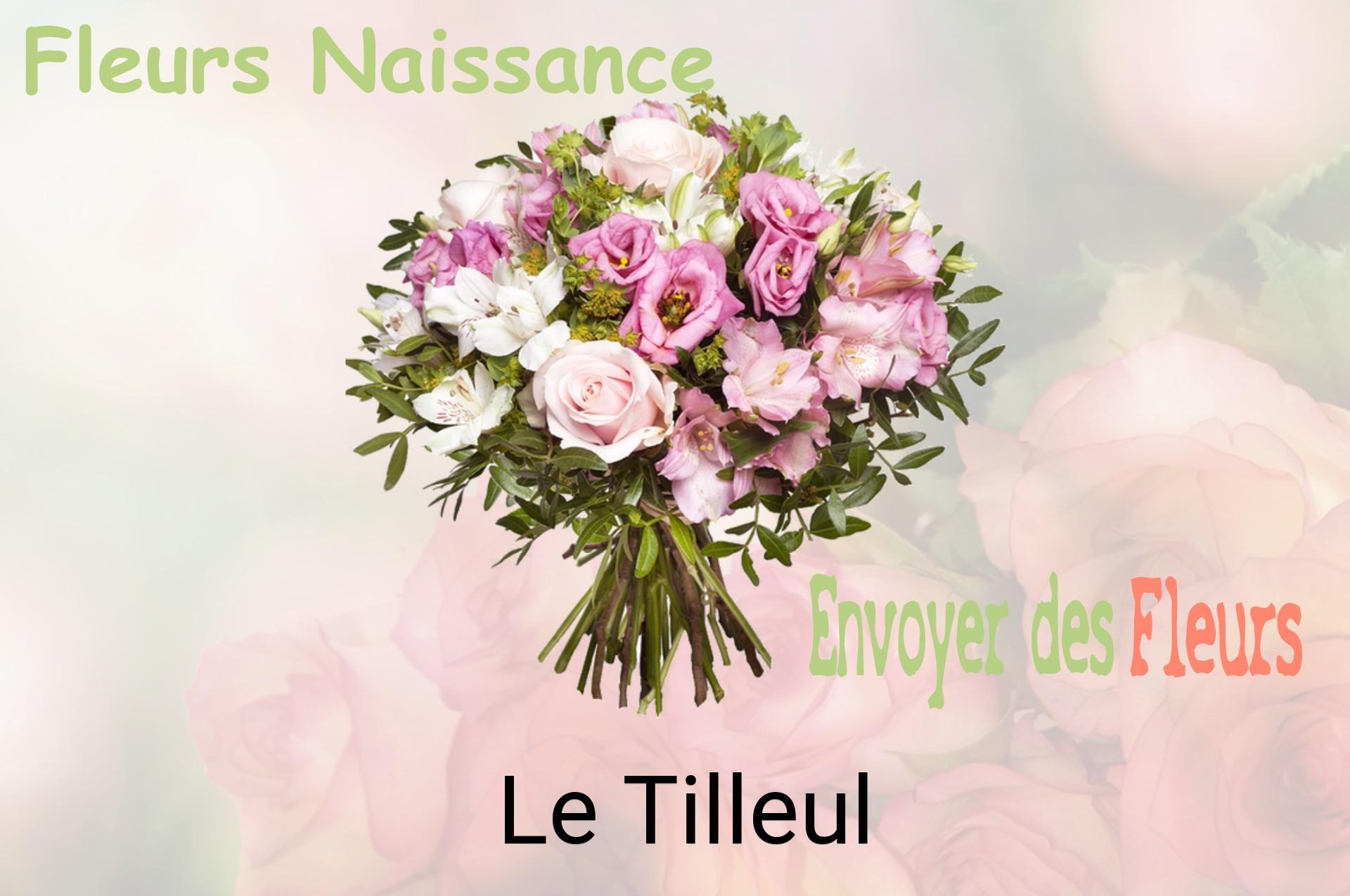 Bouquet de fleurs de naissance livré à Le Tilleul